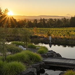 Domaine Willamette_20230715_461-Edit